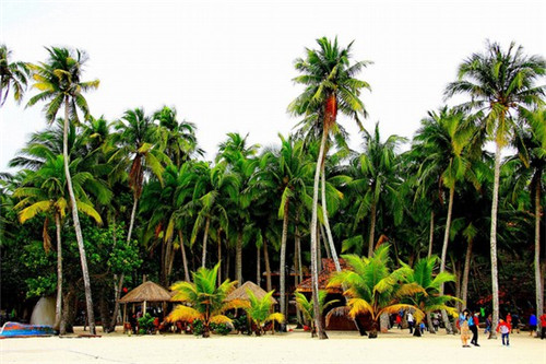 南唐记固始鹅块老火锅