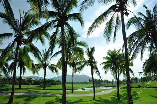 自嗨火锅食材超市