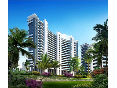 牛呆呆大碗牛肉面