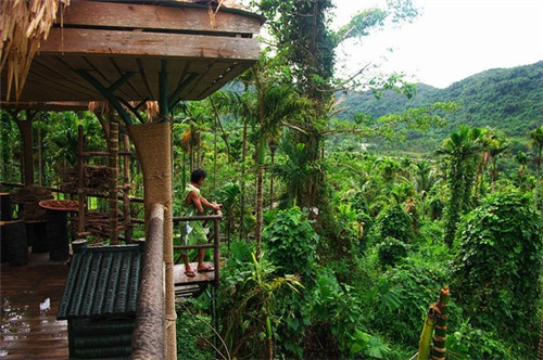 黄七姑烧仙草  奶茶店  烧仙草