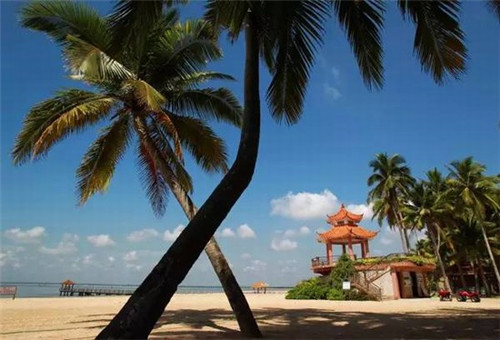 装饰膜哪个品牌好