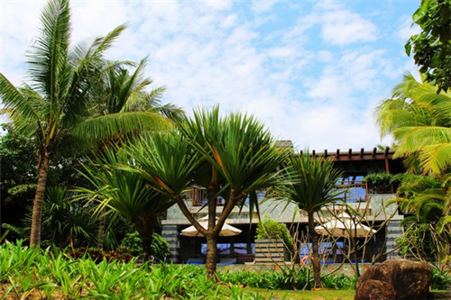 滋补食材药材哪个品牌好