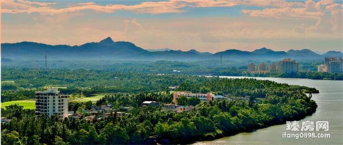 蚂蚁的十大刑法是什么（蚂蚁几种）