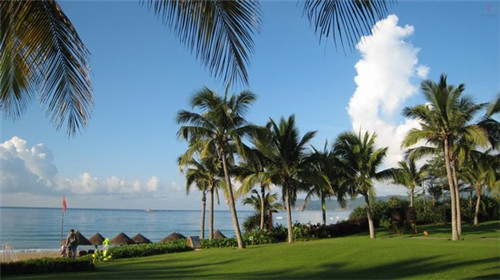 陈记家常菜地址（陈记酒家地址）