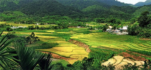 香港明星的结束曲是什么歌（香港明星的结束曲是什么歌曲）