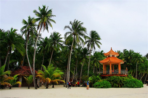 玉白是哪个品牌的板材颜色（玉白是哪个品牌的板材颜色不一样）