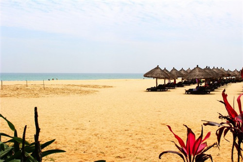 日线级别是什么意思（日线级别调整怎么看）